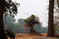 44_ angkor_wat_045